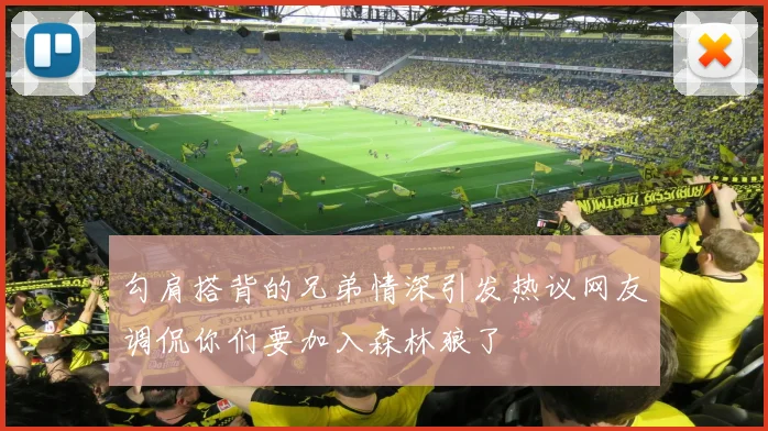 勾肩搭背的兄弟情深引发热议网友调侃你们要加入森林狼了
